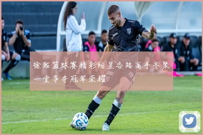 徐陇篮球赛精彩纷呈各路高手齐聚一堂争夺冠军荣耀