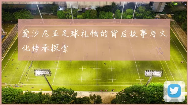 爱沙尼亚足球礼物的背后故事与文化传承探索