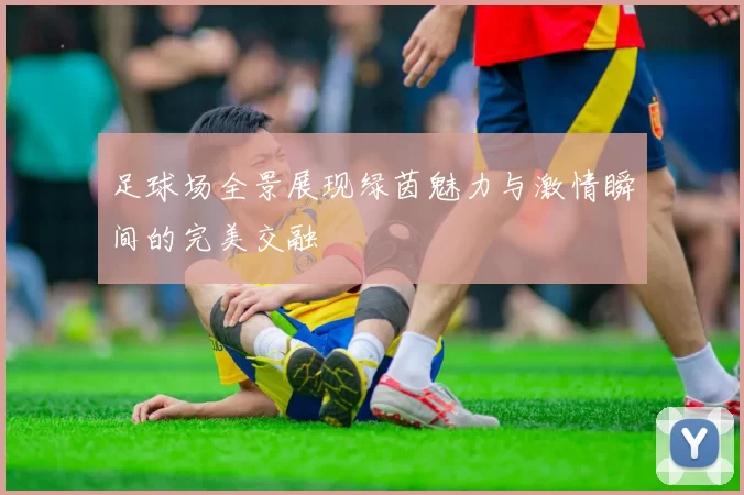 足球场全景展现绿茵魅力与激情瞬间的完美交融