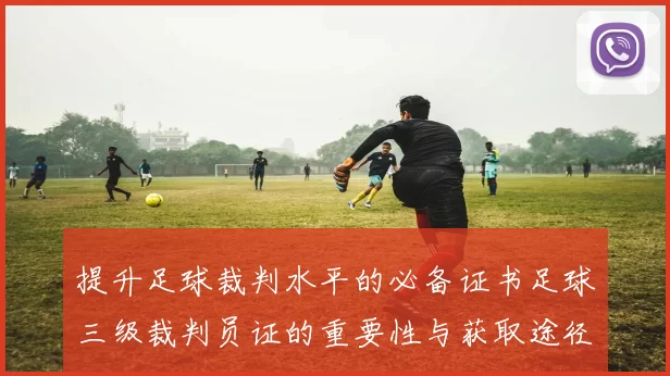 提升足球裁判水平的必备证书足球三级裁判员证的重要性与获取途径解析