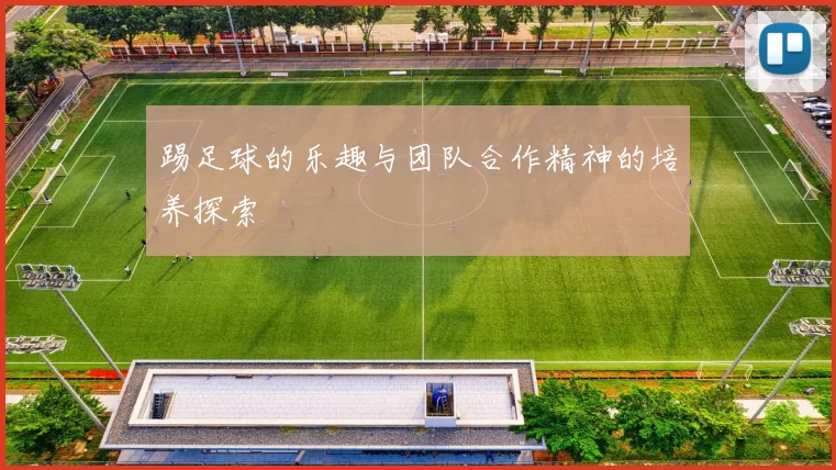 踢足球的乐趣与团队合作精神的培养探索